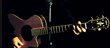 Animovaný koncertný banner pre Vana Morrisona vo Wiesene